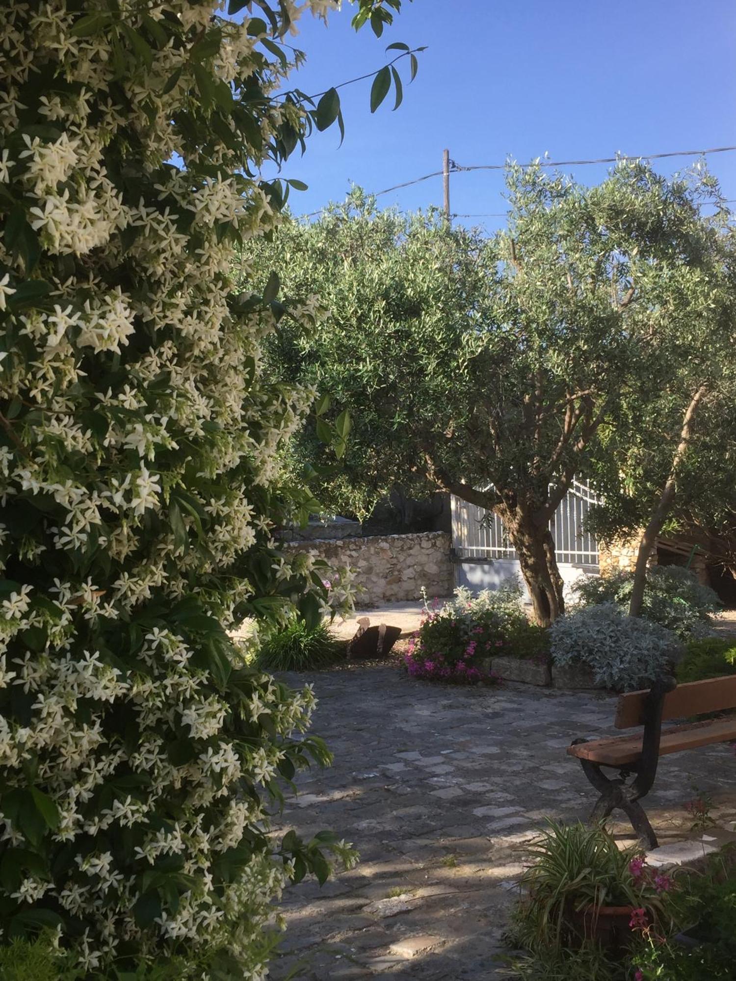 Le Clos Du Jas Marseille Phòng bức ảnh